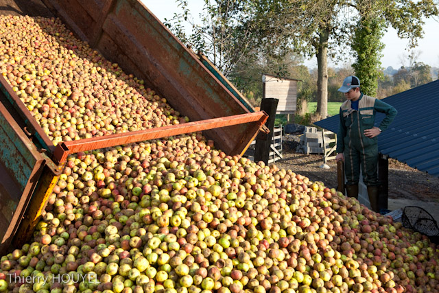 Pourquoi choisir nos produits ?